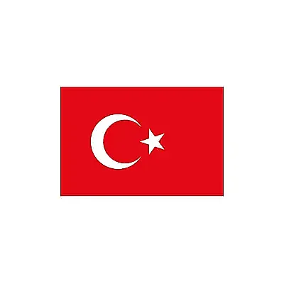 Vatan 30x45 Türk Bayrağı - 3