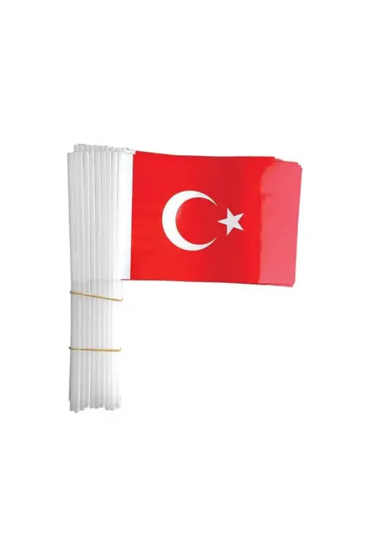Vatan Türk Bayrağı Plastik Sopalı - Vatan